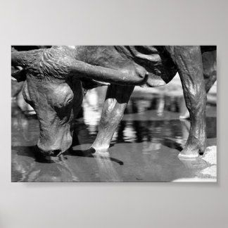 Poster Boire Longhorn