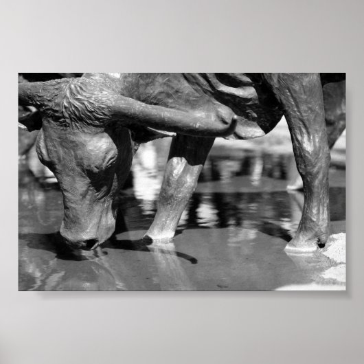 Poster Boire Longhorn (Devant)