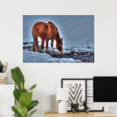 Poster Boire Red Dun Ranch Horse Equine Photo (Bureau à domicile)