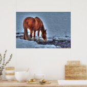 Poster Boire Red Dun Ranch Horse Equine Photo (Cuisine)
