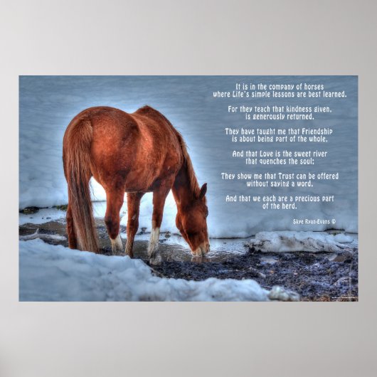 Poster Boire Red Dun Ranch Horse & Equine Poem (Devant)