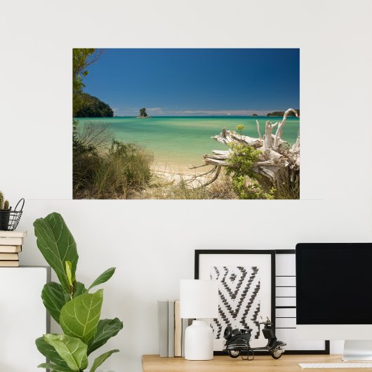 Poster Bois (Bureau à domicile)