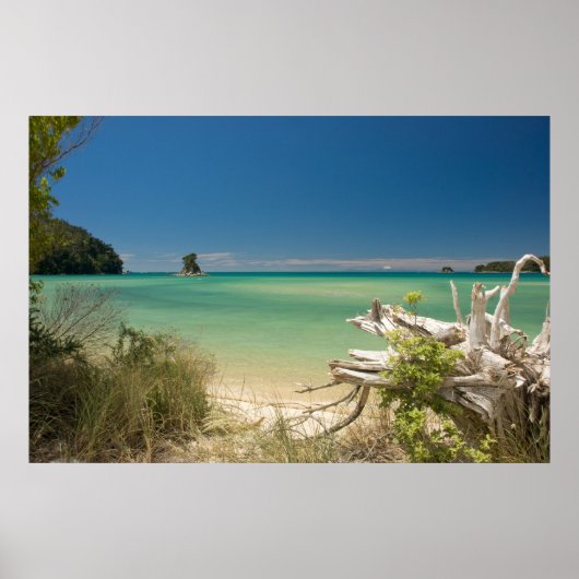 Poster Bois (Devant)