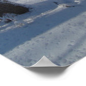 Poster Bois à neige (Coin)