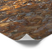 Poster Bois américain (Coin)