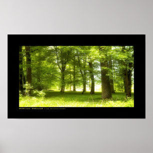 Poster Bois argenté