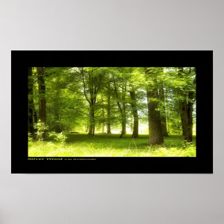 Poster Bois argenté