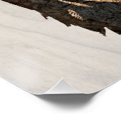 Poster Bois - Chouette aux grands yeux (Coin)