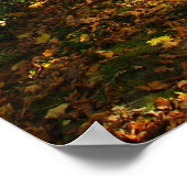 Poster bois d'automne (Coin)