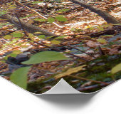 Poster Bois d'automne (Coin)