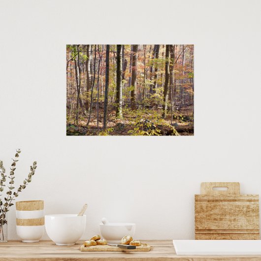 Poster Bois d'automne (Cuisine)