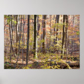 Poster Bois d'automne (Devant)