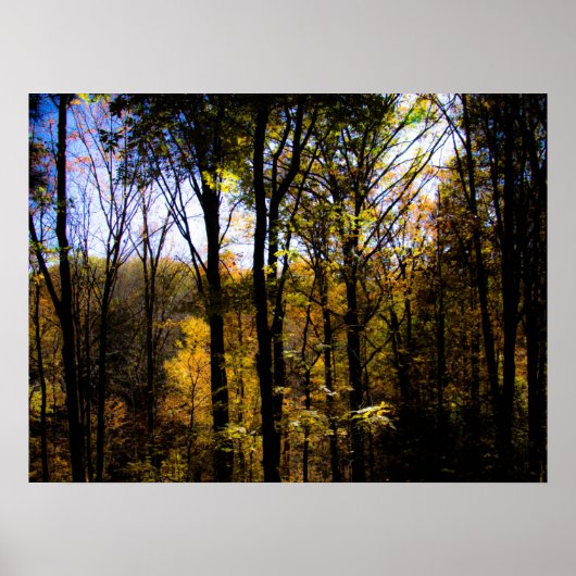 Poster Bois d'automne (Devant)