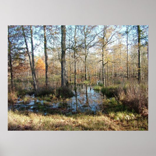 Poster Bois d'automne (Devant)