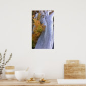 Poster Bois d'automne (Cuisine)
