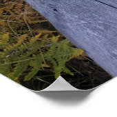 Poster Bois d'automne (Coin)