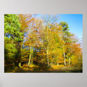 Poster Bois d'Automne & Soleil - Personnalisé