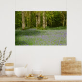 POSTER BOIS DE BLUEBELL 2 (Cuisine)