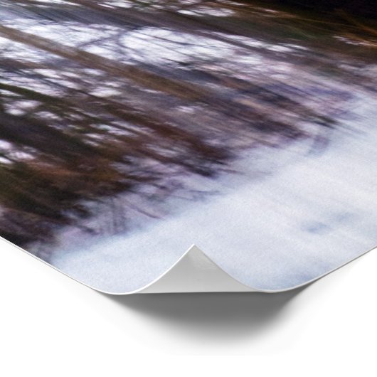 Poster bois de bouleau (Coin)