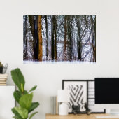 Poster bois de bouleau (Bureau à domicile)