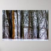 Poster bois de bouleau (Devant)