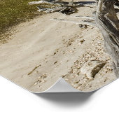 Poster Bois de chêne sur la plage (Coin)