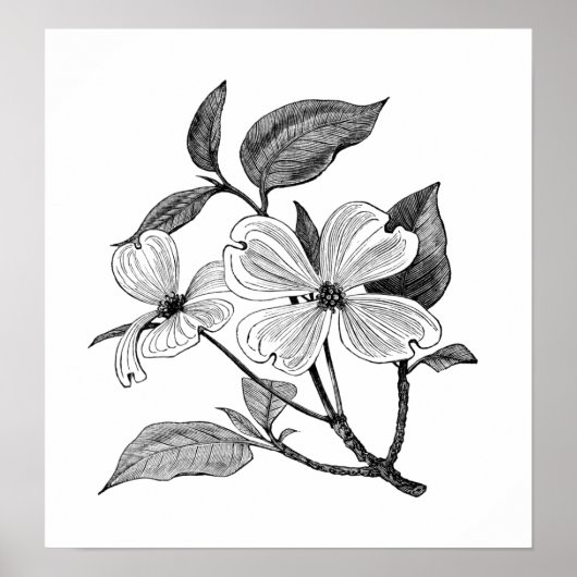 Poster Bois de chien (Devant)