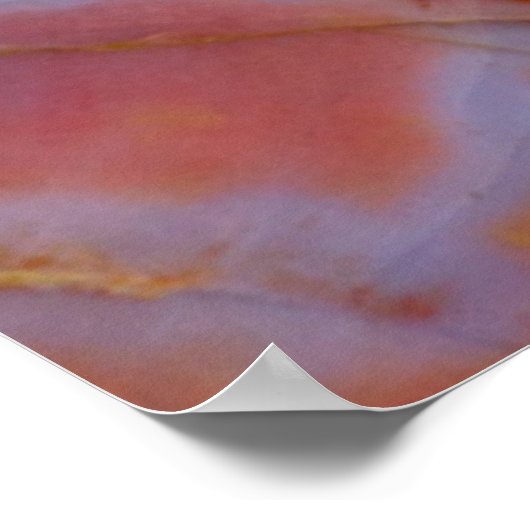 Poster Bois de close (Coin)