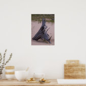 Poster Bois de dérive (Cuisine)