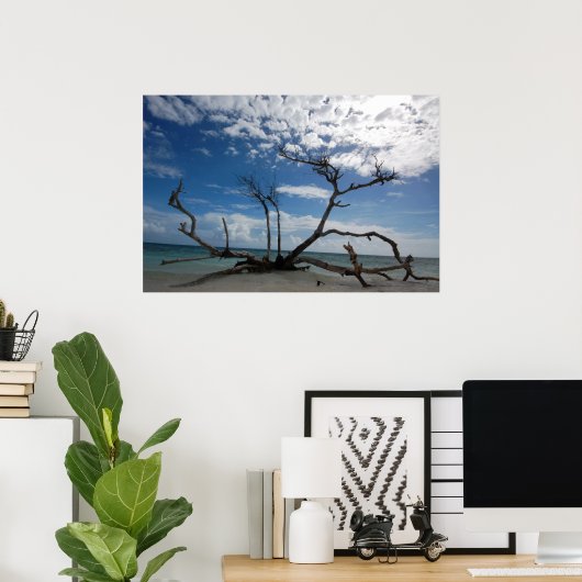 Poster Bois de dérive (Bureau à domicile)