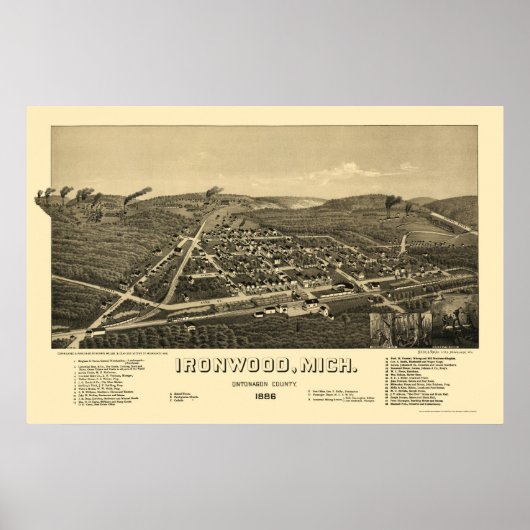 Poster Bois de fer, MI Carte panoramique - 1886 (Devant)