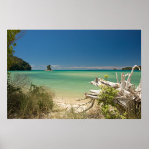 Poster Bois de flottage