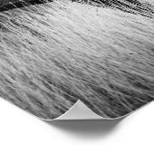 Poster Bois de la forêt de Cabine de cerfs blancs noirs (Coin)