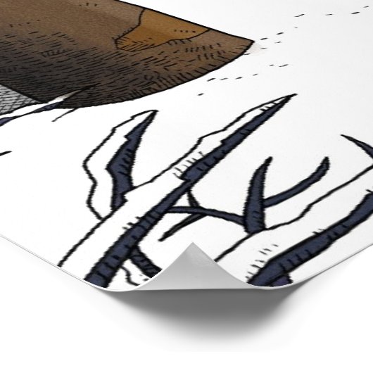 POSTER BOIS DE NEIGE (Coin)