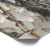 Poster Bois de pin d'écorce (Coin)