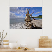 Poster Bois Dérivé Sur Le Rivage De French Beach (Cuisine)