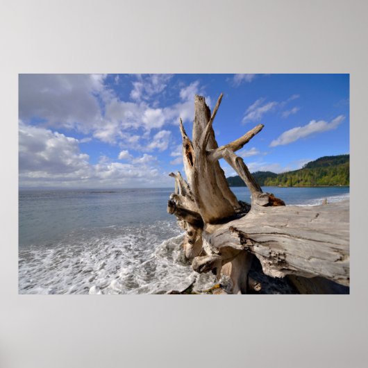 Poster Bois Dérivé Sur Le Rivage De French Beach (Devant)