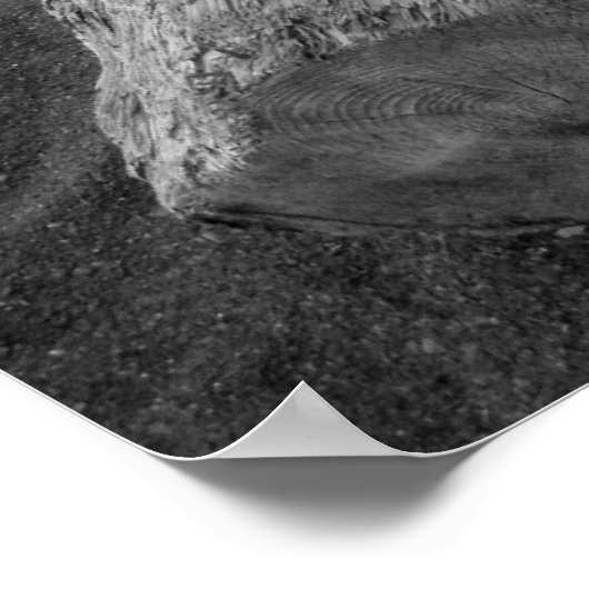 Poster bois d'oeuvre 2 (Coin)