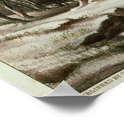 Poster Bois en hiver (Coin)