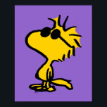 Poster Bois En Lunettes De Soleil<br><div class="desc">Jetez un oeil à ce design super mignon avec des lunettes de soleil cool Woodstock sport.</div>