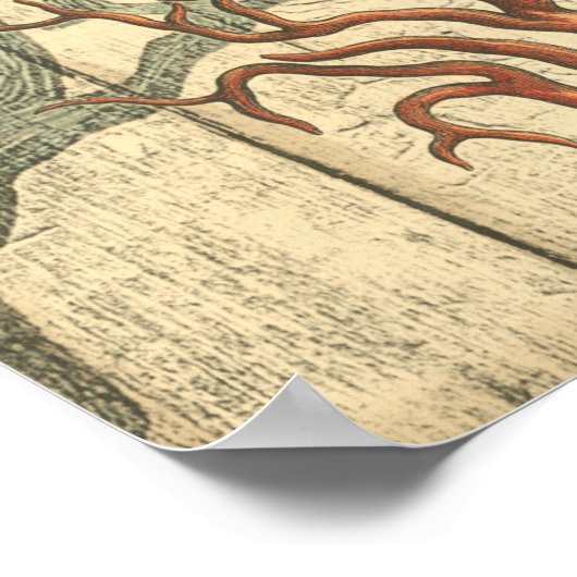 Poster Bois et petit corail (Coin)