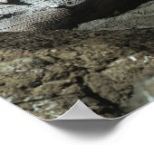 Poster Bois flotté (Coin)