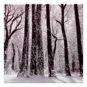 POSTER BOIS FORESTIER NEIGE HIVER SCÉNARIO (Devant)