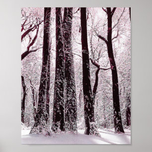 POSTER BOIS FORESTIER NEIGE HIVER SCÉNARIO