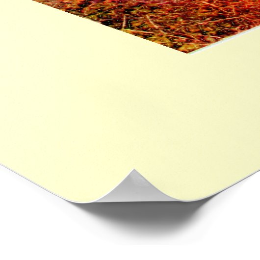 Poster Bois hanté (Coin)