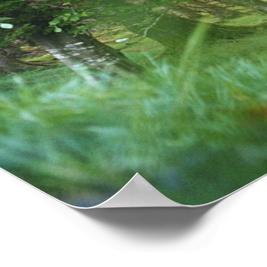 Poster Bois irlandais (Coin)