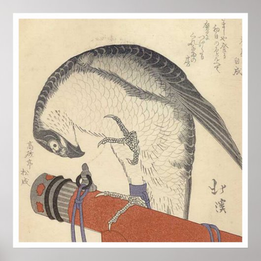 Poster Bois japonais (Devant)