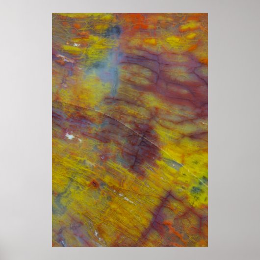 Poster Bois pétrifié (Devant)