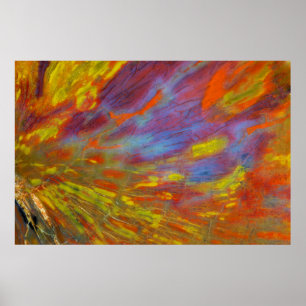 Poster Bois pétrifié coloré en gros plan