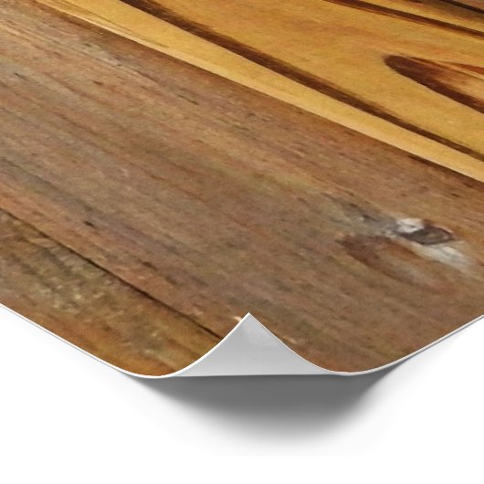 Poster Bois rustique et cheval sauvage (Coin)